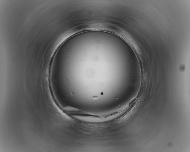X0000097500855200802221443