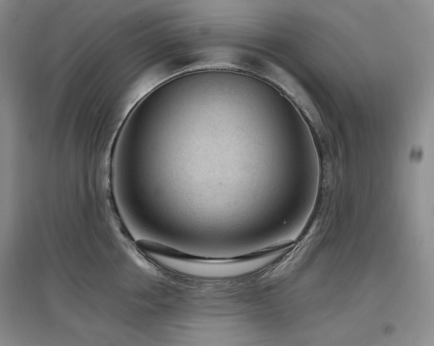 X0000097500858200802221443