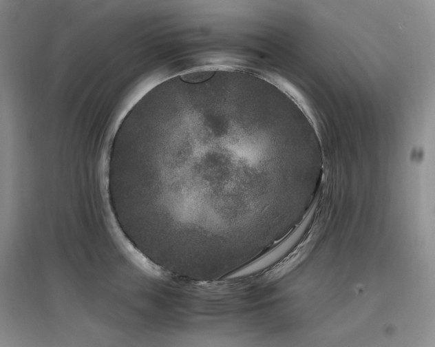 X0000097500859200802221443