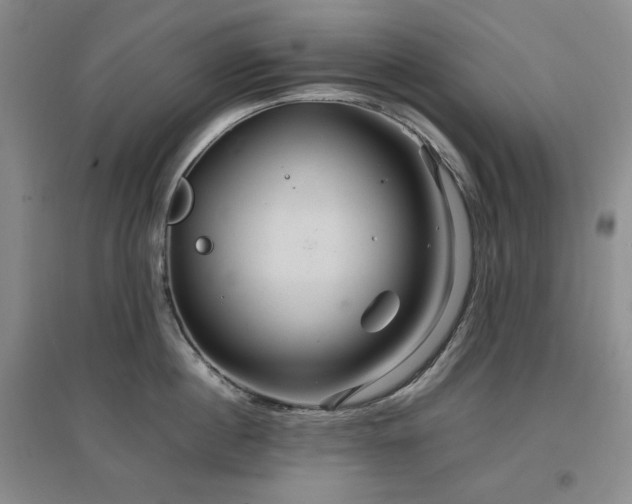 X0000097500860200802221443