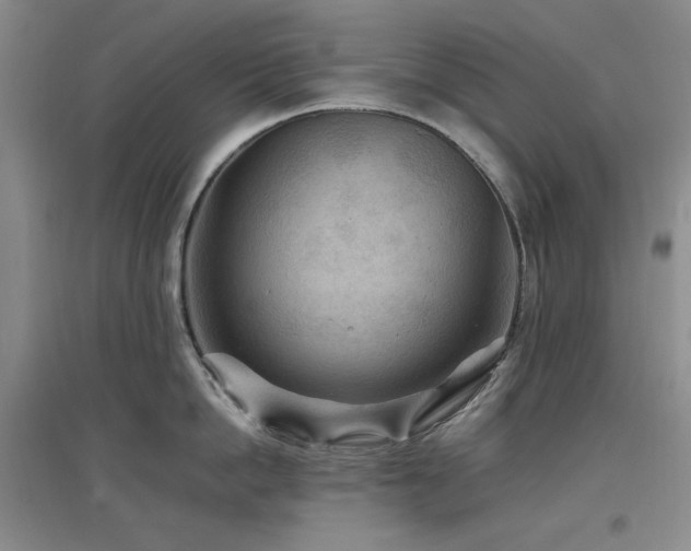 X0000097500862200802221443