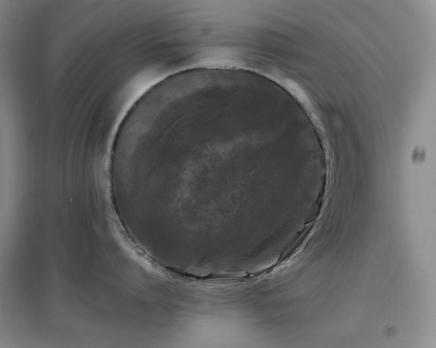 X0000097500864200802221443