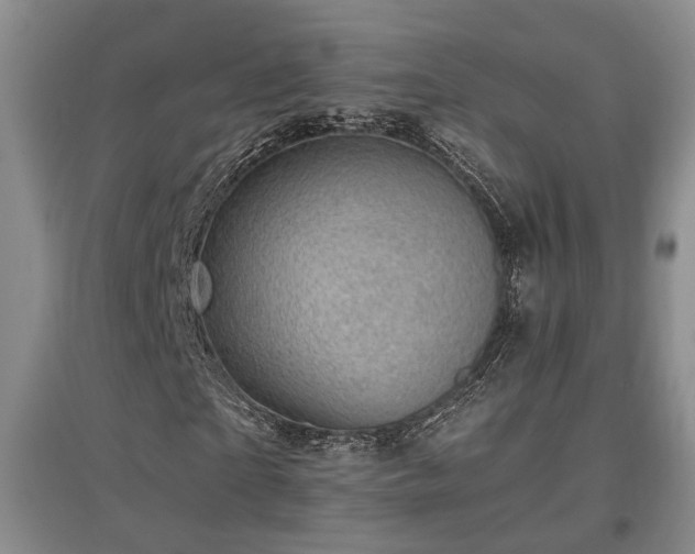 X0000097500865200802221442
