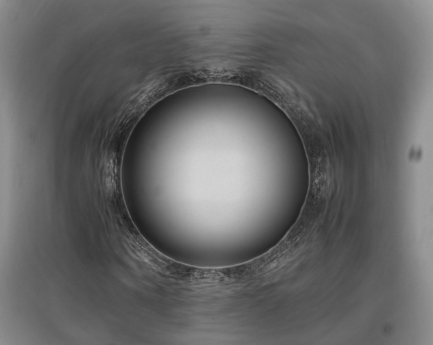 X0000097500866200802221442
