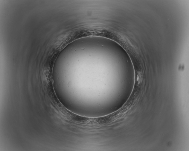 X0000097500867200802221442