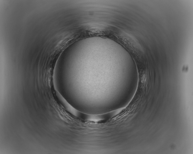 X0000097500868200802221442