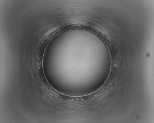 X0000097500869200802221442