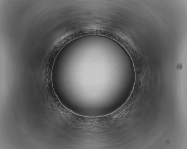 X0000097500870200802221442
