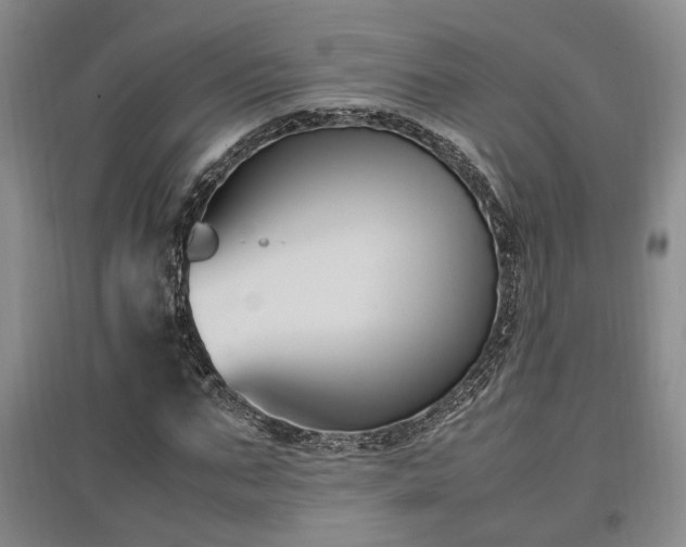 X0000097500871200802221442