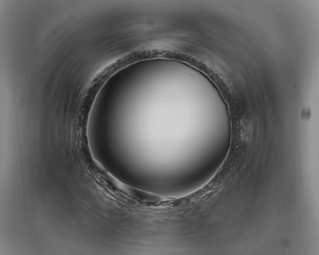 X0000097500872200802221442