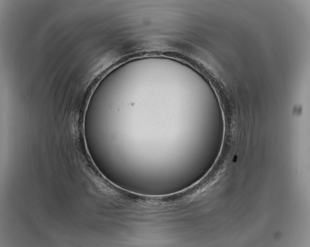 X0000097500873200802221442
