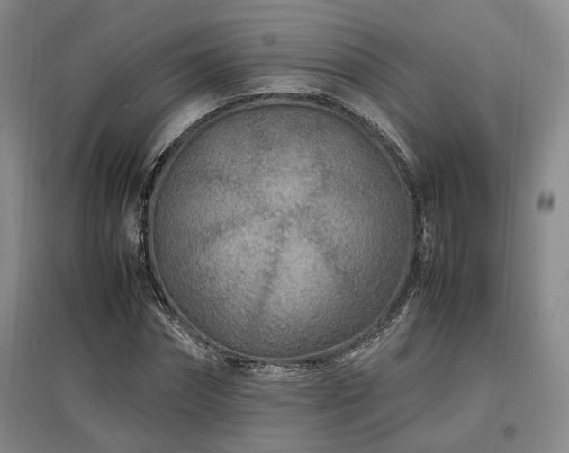 X0000097500874200802221442