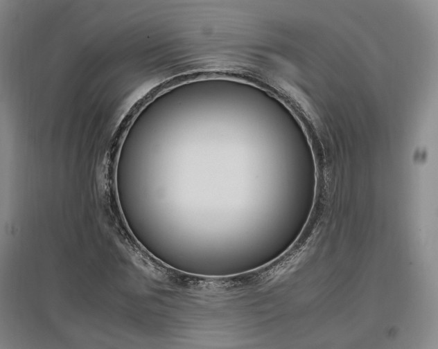 X0000097500875200802221442