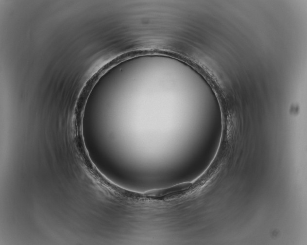 X0000097500876200802221442