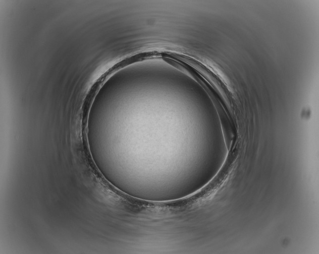 X0000097500877200802221442