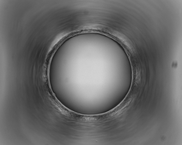 X0000097500878200802221442