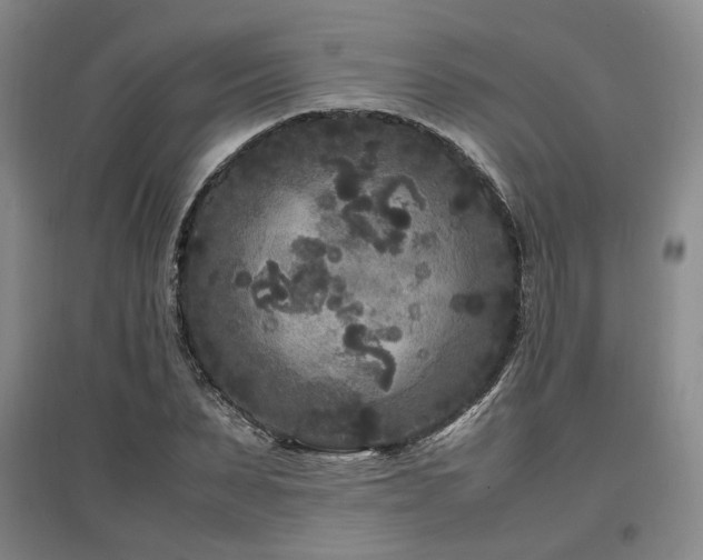 X0000097500879200802221442