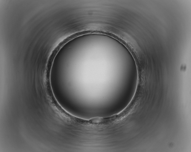 X0000097500880200802221442