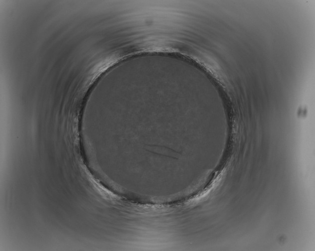 X0000097500881200802221442