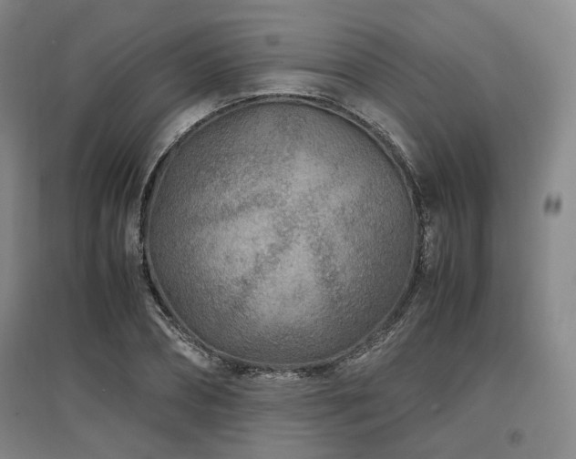 X0000097500882200802221442