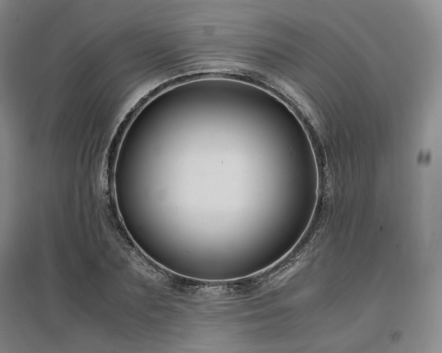 X0000097500883200802221442