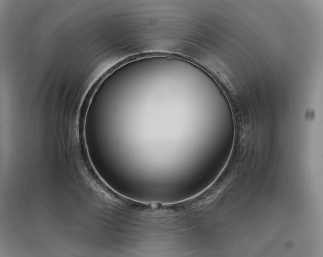 X0000097500884200802221442