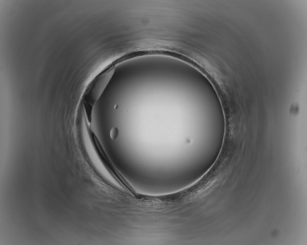 X0000097500885200802221442