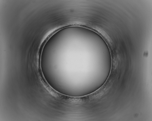 X0000097500886200802221442