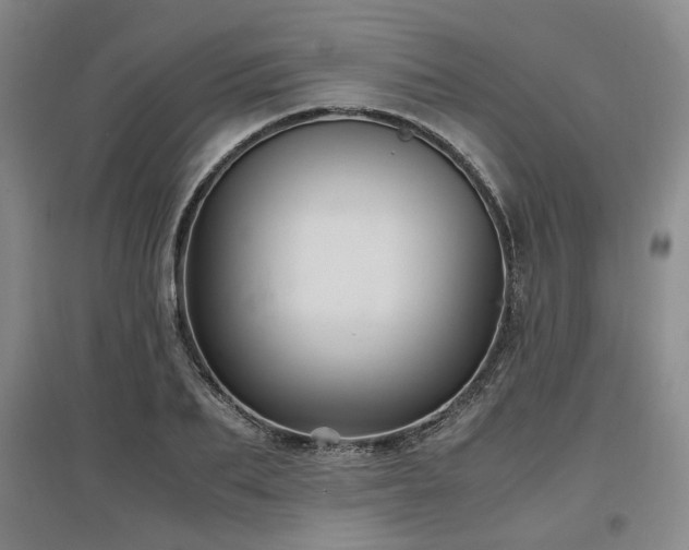 X0000097500887200802221442