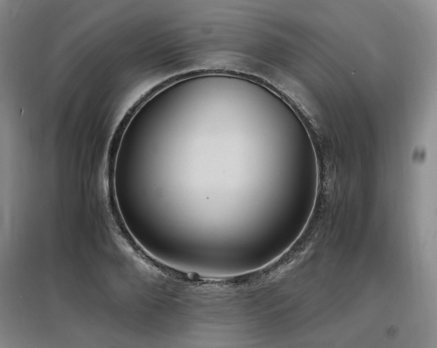 X0000097500888200802221442