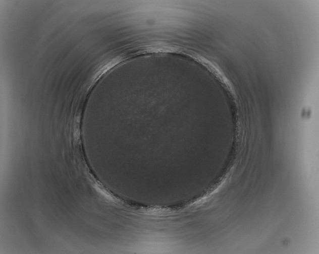 X0000097500889200802221442