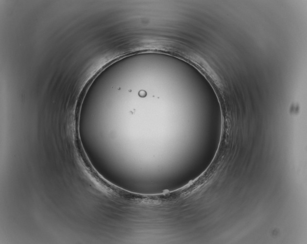 X0000097500890200802221442