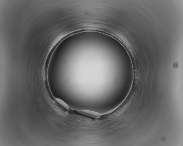 X0000097500891200802221442