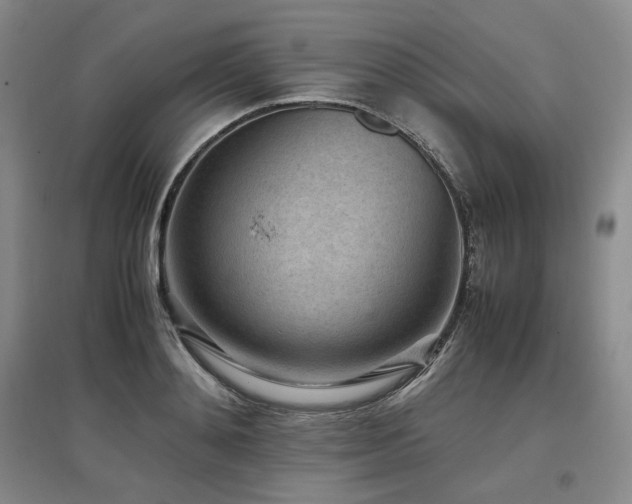 X0000097500892200802221442