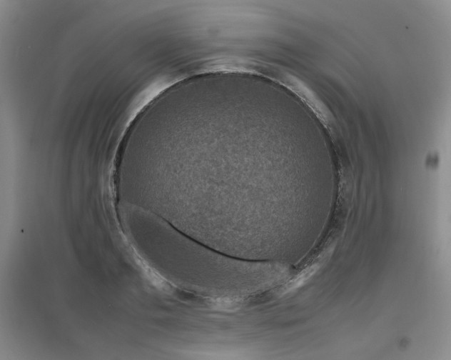X0000097500893200802221442