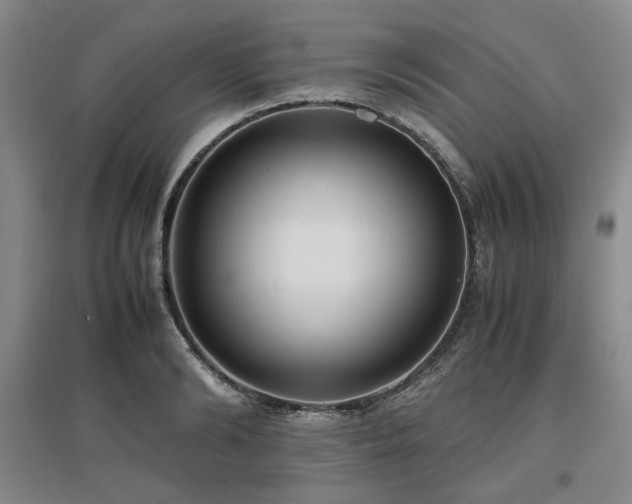 X0000097500894200802221442