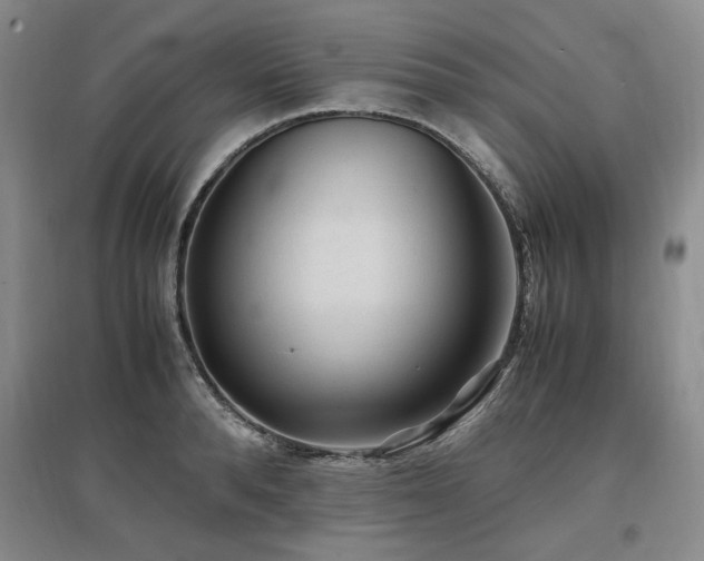 X0000097500896200802221442