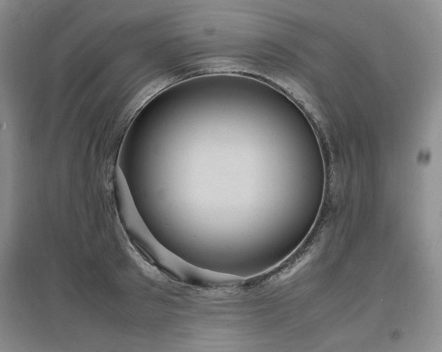 X0000097500897200802221442