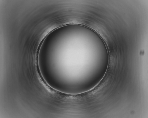 X0000097500898200802221442