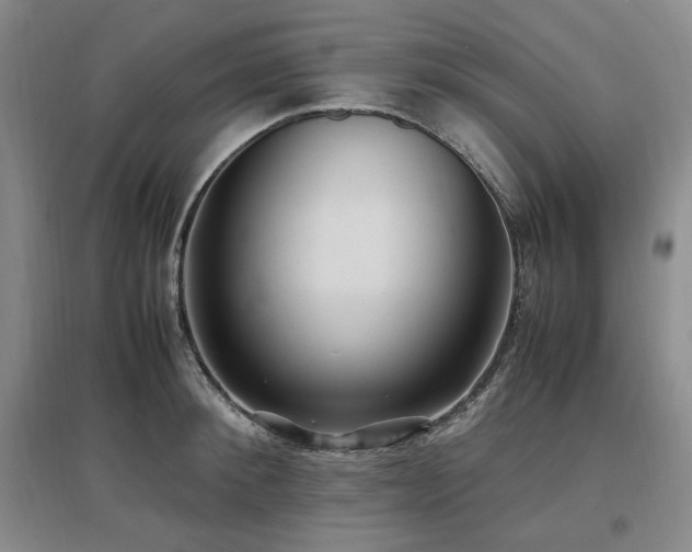 X0000097500900200802221442