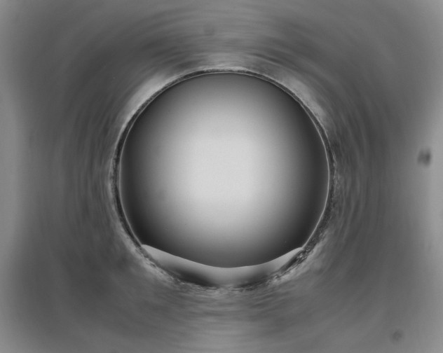 X0000097500901200802221442