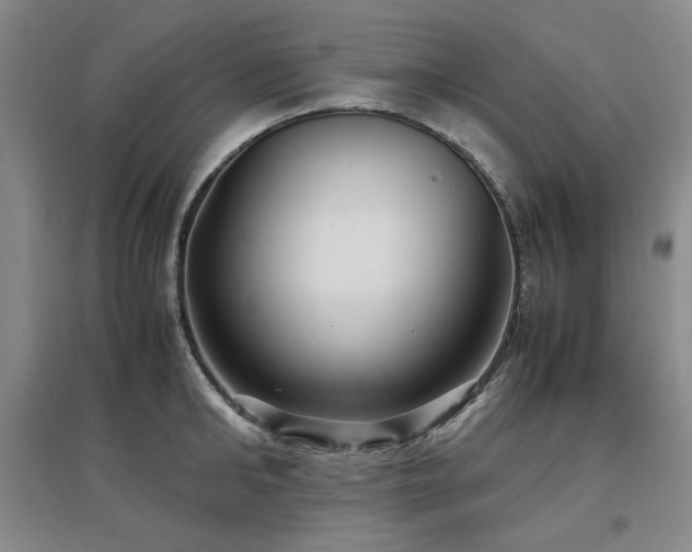 X0000097500902200802221442