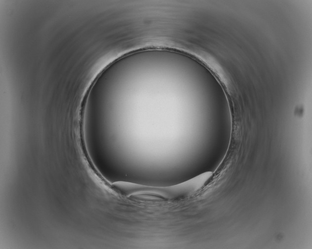 X0000097500903200802221442