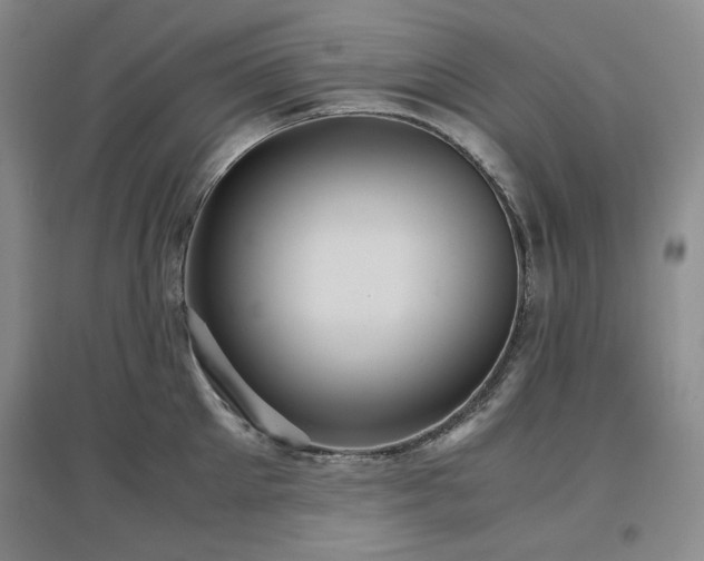 X0000097500905200802221442