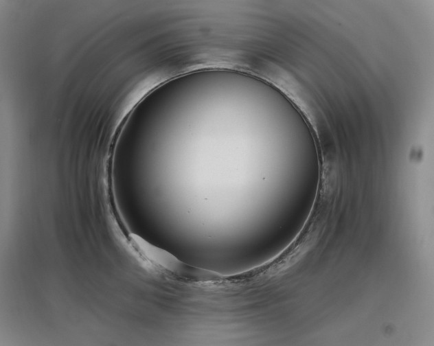 X0000097500906200802221442