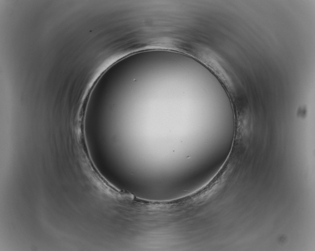 X0000097500908200802221442