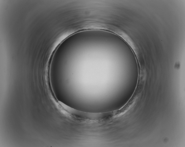 X0000097500909200802221442