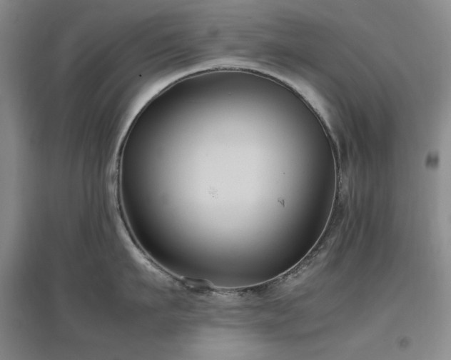 X0000097500911200802221442
