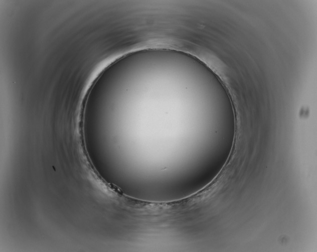 X0000097500912200802221442