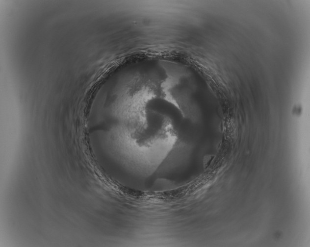 X0000097500913200802221441